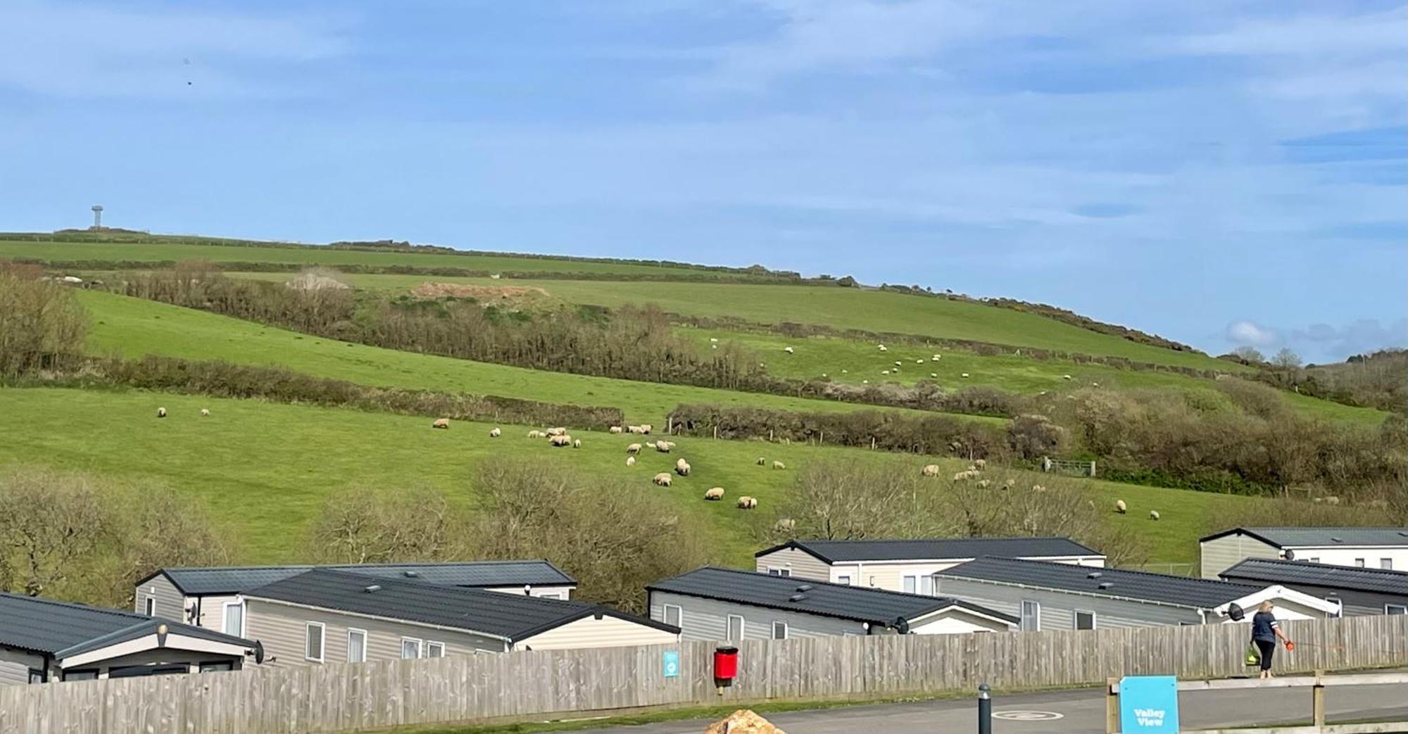Newquay Bay Resort Sandy Toes - Pet Friendly Exterior foto